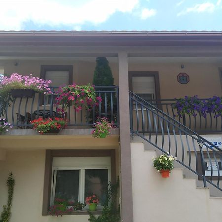 Apartman Kaća Cetinje Ruang foto
